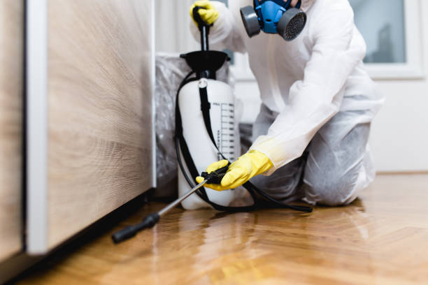 Best Emergency Pest Control  in Romulus, MI