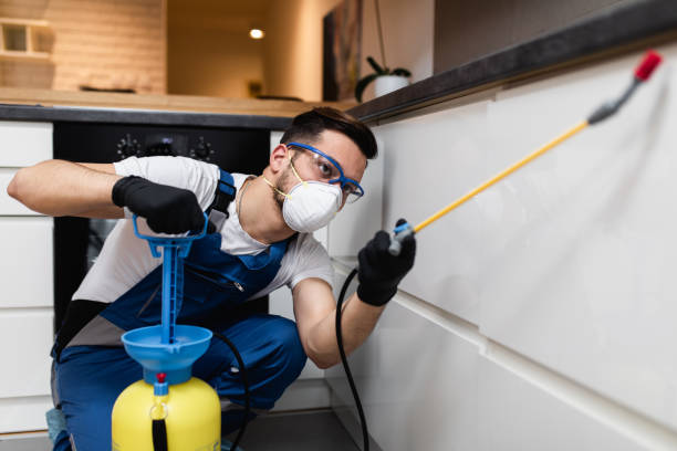 Best Mosquito Control Services  in Romulus, MI