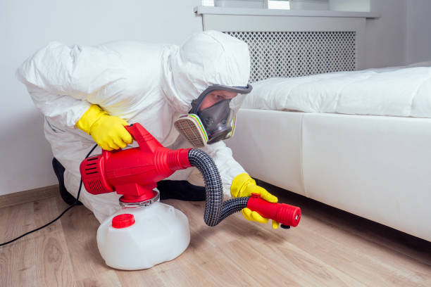 Best Affordable Pest Control Services  in Romulus, MI