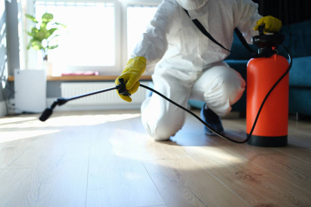 Best Termite Control Services  in Romulus, MI