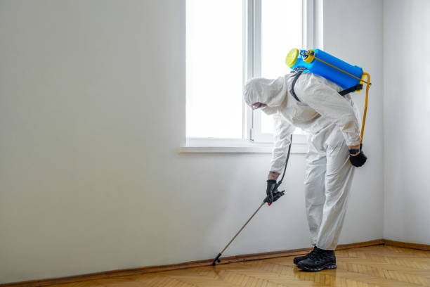 Best Residential Pest Control  in Romulus, MI