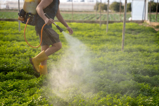 Best Pest Removal Services  in Romulus, MI