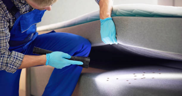 Best Pest Inspection Near Me  in Romulus, MI