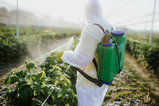 Best Commercial Pest Control Services  in Romulus, MI